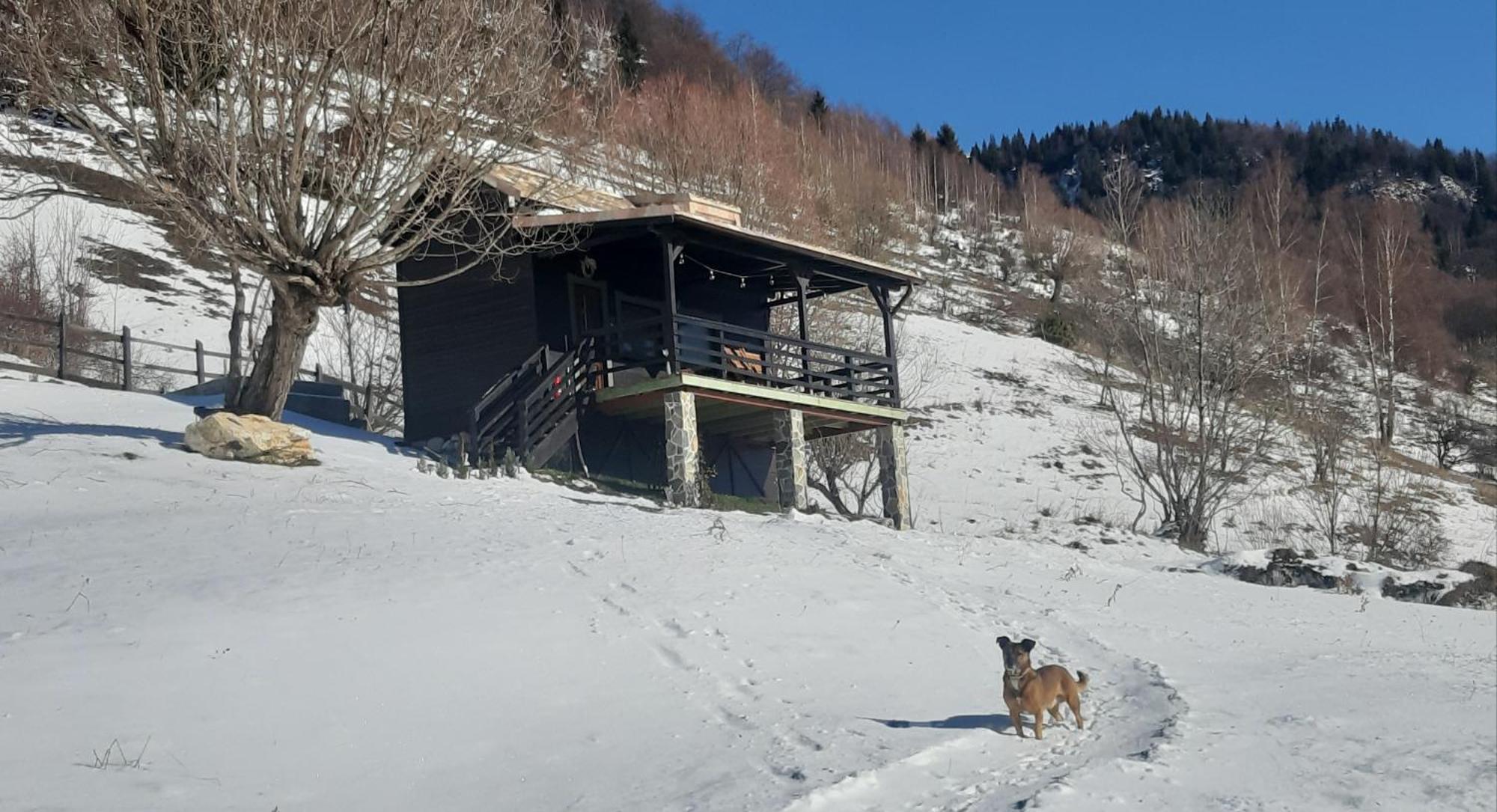 فيلا Magura Rustic Tiny House المظهر الخارجي الصورة